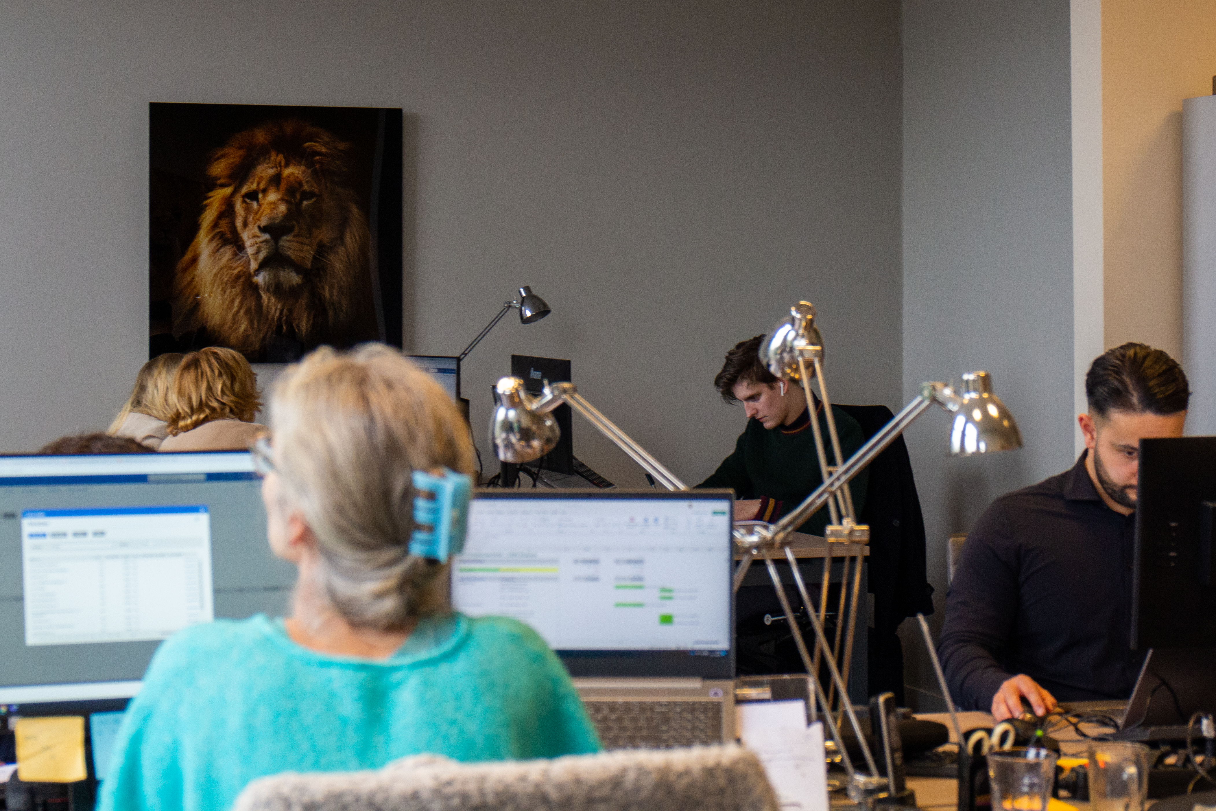 Grens verplichte accountantscontrole moet véél hoger!